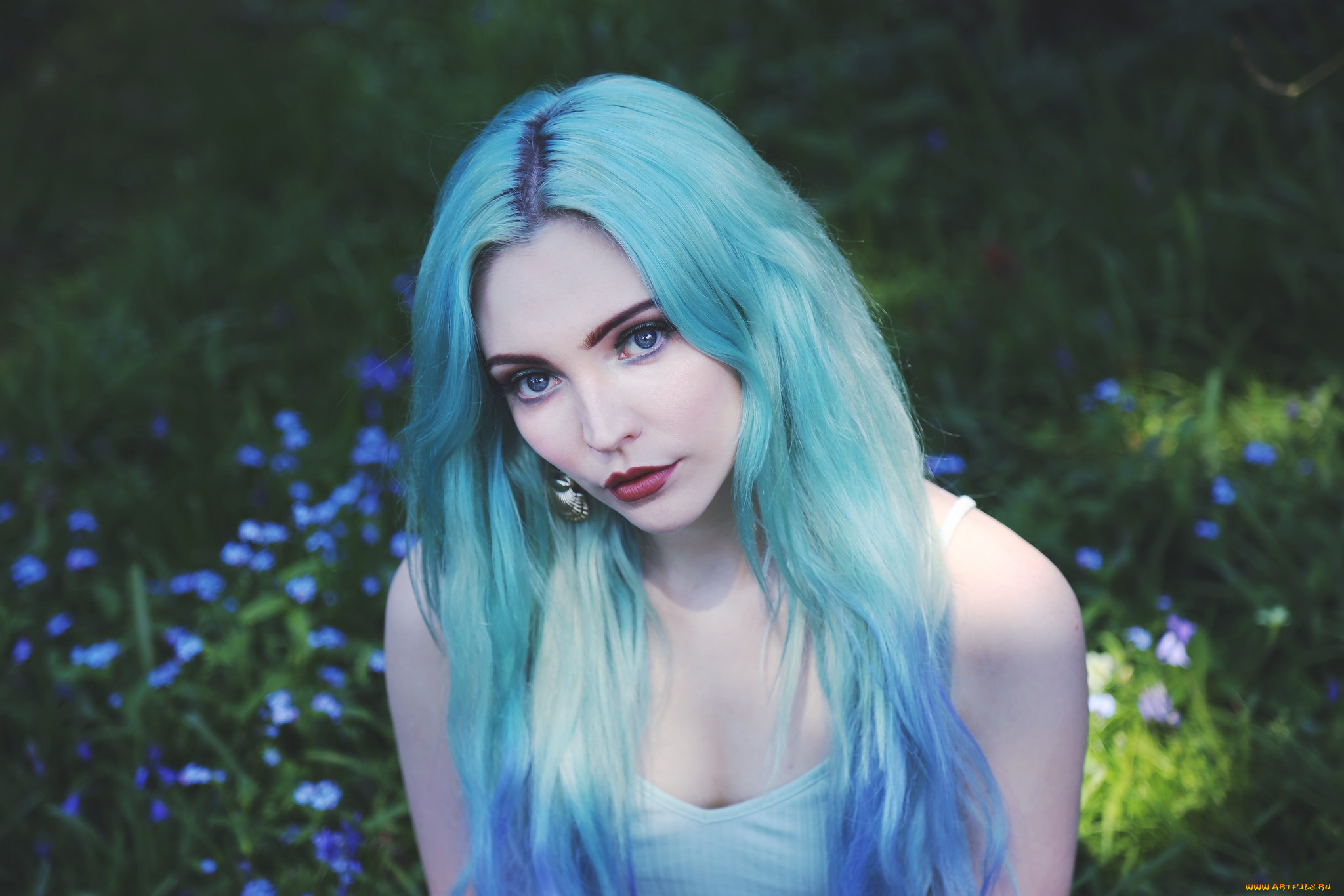 , -   , 